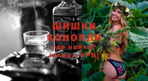 гашик Ельня