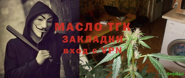 дживик Елабуга