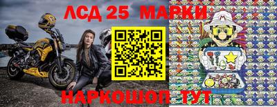 ГАЛЛЮЦИНОГЕННЫЕ ГРИБЫ Пугачёв