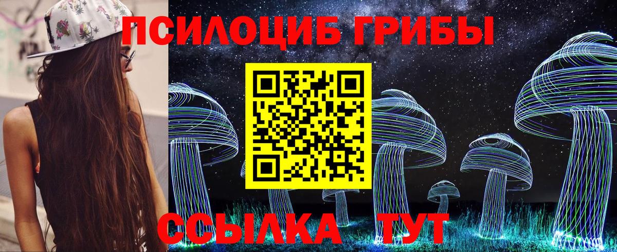 Чернушка  Псилоцибиновые грибы Psilocybine cubensis  Вход с VPN 